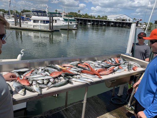 Freddie Z Fishing - Fishing Charters in New Smyrna Beach, FL
