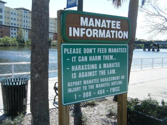 Holmes Park: A Hidden Gem in Melbourne, FL