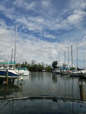 321 Jet Ski Rental in Melbourne, FL - An Exciting Water Adventure Experience 321 Jet Ski Rental in Melbourne, FL - An Exciting Water Adventure Experience