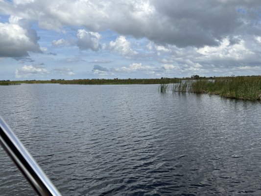 Gator Bait Airboat Adventure Tours - Vero Beach, FL: An Exciting Wildlife Experience