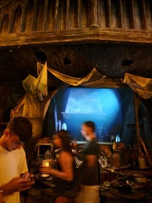 Hagrids Magical Creatures Motorbike Adventure: An Exciting Experience in Orlando, FL