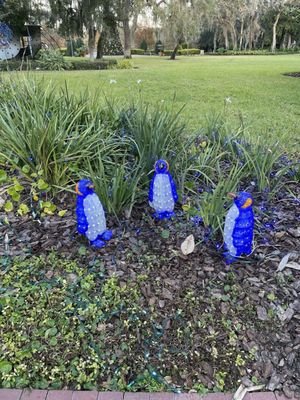 Lake Concord Park - A Serene Escape in Casselberry, FL