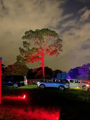 The Haunted Road: An Unforgettable Haunt Experience in Orlando, FL The Haunted Road: An Unforgettable Haunt Experience in Orlando, FL