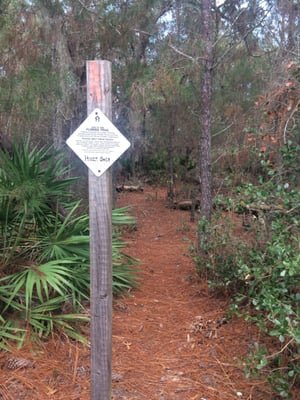 Chuluota Wilderness Area: A Hidden Gem in Oviedo, FL