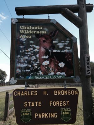 Chuluota Wilderness Area: A Hidden Gem in Oviedo, FL