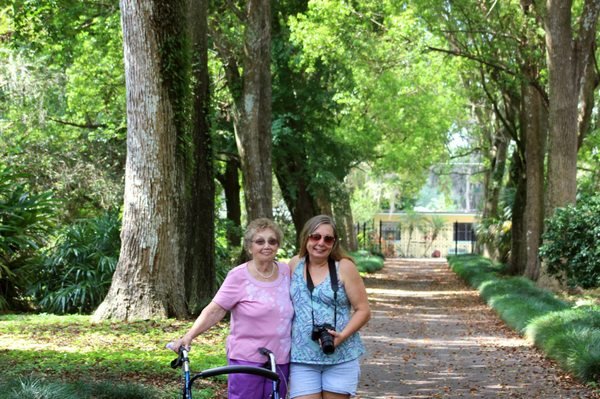 Explore the Beauty of Harry P Leu Gardens in Orlando, FL