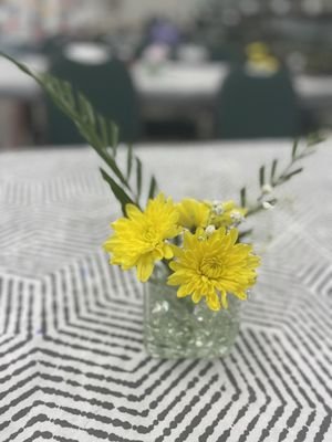 Explore the Beauty of Harry P Leu Gardens in Orlando, FL