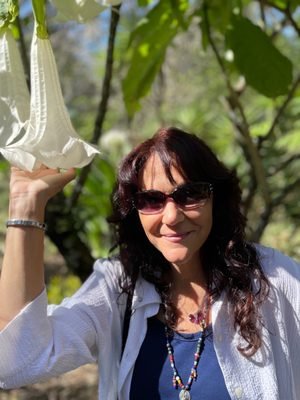 Explore the Beauty of Harry P Leu Gardens in Orlando, FL