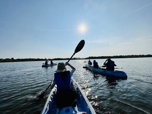 Florida Adventurer - Explore the Beauty of Merritt Island, FL Florida Adventurer - Explore the Beauty of Merritt Island, FL