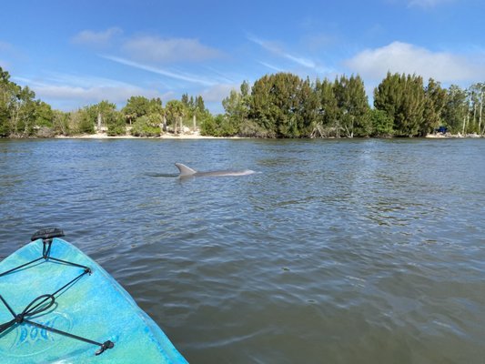 Florida Adventurer - Explore the Beauty of Merritt Island, FL Florida Adventurer - Explore the Beauty of Merritt Island, FL