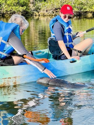 Florida Adventurer - Explore the Beauty of Merritt Island, FL Florida Adventurer - Explore the Beauty of Merritt Island, FL