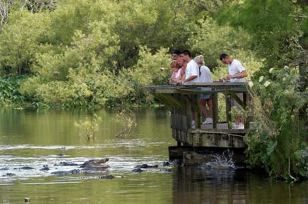 Gatorland - The Ultimate Orlando Experience Gatorland - The Ultimate Orlando Experience