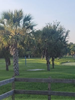Glencoe Disc Golf: A Hidden Gem in New Smyrna Beach