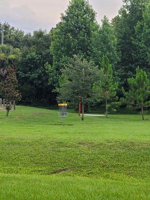 Glencoe Disc Golf: A Hidden Gem in New Smyrna Beach