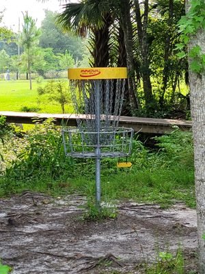 Glencoe Disc Golf: A Hidden Gem in New Smyrna Beach