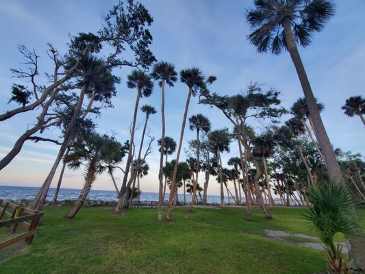 Manatee Hammock Campground: A Tranquil Retreat in Titusville, FL Manatee Hammock Campground: A Tranquil Retreat in Titusville, FL