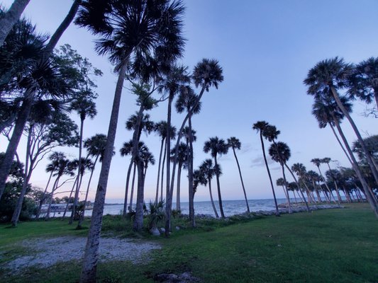Manatee Hammock Campground: A Tranquil Retreat in Titusville, FL Manatee Hammock Campground: A Tranquil Retreat in Titusville, FL