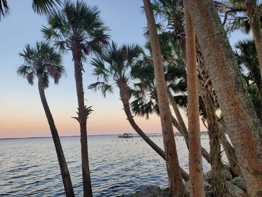 Manatee Hammock Campground: A Tranquil Retreat in Titusville, FL Manatee Hammock Campground: A Tranquil Retreat in Titusville, FL
