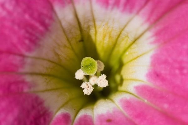 Mead Botanical Garden: A Serene Oasis in Winter Park, FL