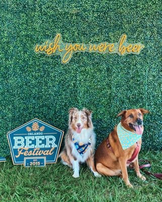 Orlando Beer Festival: A Must-Visit Event for Beer Enthusiasts in Orlando, FL