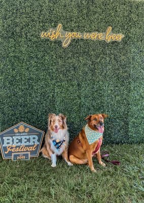 Orlando Beer Festival: A Must-Visit Event for Beer Enthusiasts in Orlando, FL