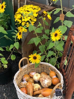 Rehab Vintage Market: A Home Decor Wonderland in Melbourne, FL