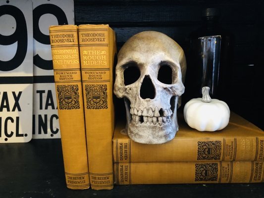 Rehab Vintage Market: A Home Decor Wonderland in Melbourne, FL