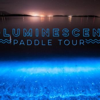 Wave of Wellness: A Holistic Approach to Paddleboarding and Outdoor Gear
