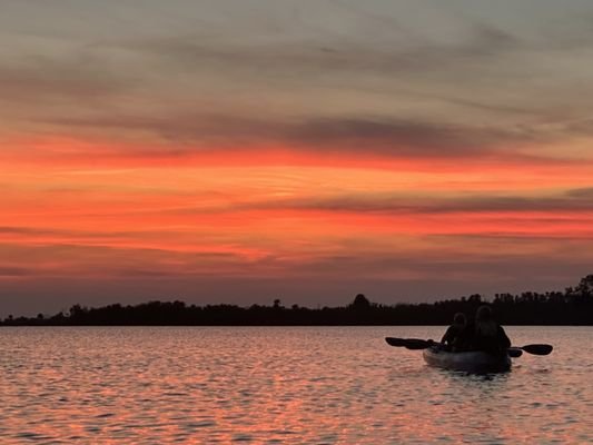 A Day Away Kayak Tours - Explore the Bioluminescence Experience
