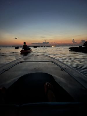 A Day Away Kayak Tours - Explore the Bioluminescence Experience
