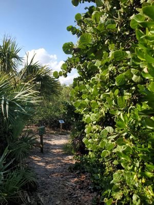 Barrier Island Sanctuary: Exploring the Conservation of Coastal Resources