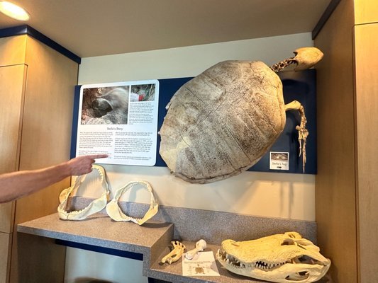 Barrier Island Sanctuary: Exploring the Conservation of Coastal Resources