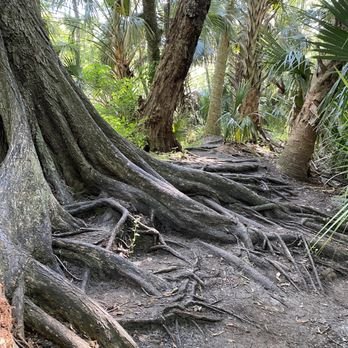 Black Bear Wilderness Area: An Adventurous Hiking Experience