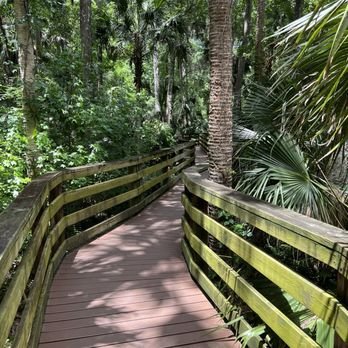 Black Bear Wilderness Area: An Adventurous Hiking Experience