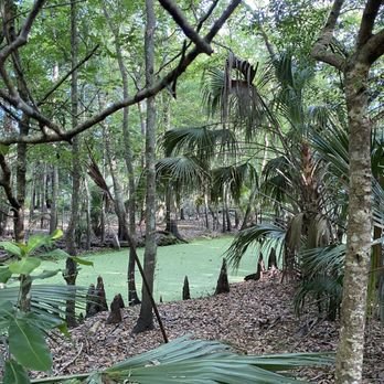 Black Bear Wilderness Area: An Adventurous Hiking Experience