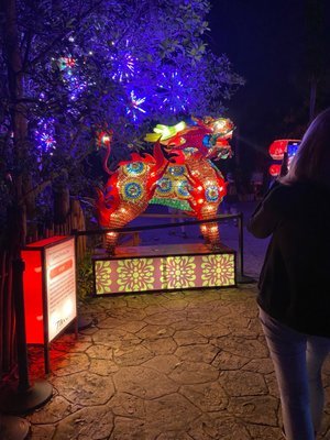 Central Florida Zoo  Botanical Gardens - A Family-Friendly Destination in Sanford, FL