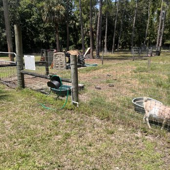 Green Acres Farm Oviedo: A Charming Attraction with Enchanting Landscaping