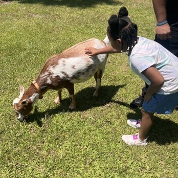 Green Acres Farm Oviedo: A Charming Attraction with Enchanting Landscaping