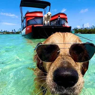 Saltys Water Sports Boat Rentals - Experience the Thrill of Jet Skiing in Fort Pierce, FL