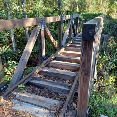 Thornby Park: A Hidden Gem for Family Fun