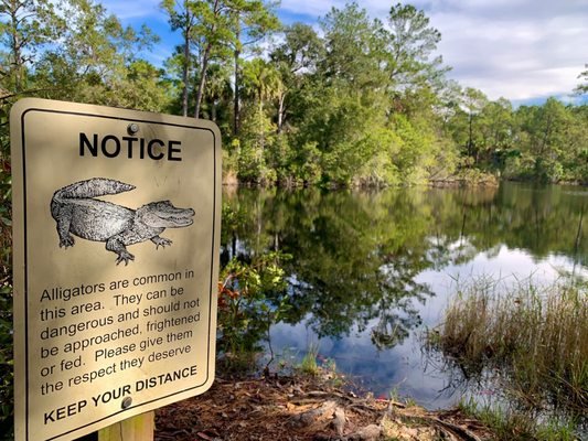 Wekiwa Springs State Park - Explore the Natural Beauty of Apopka, FL