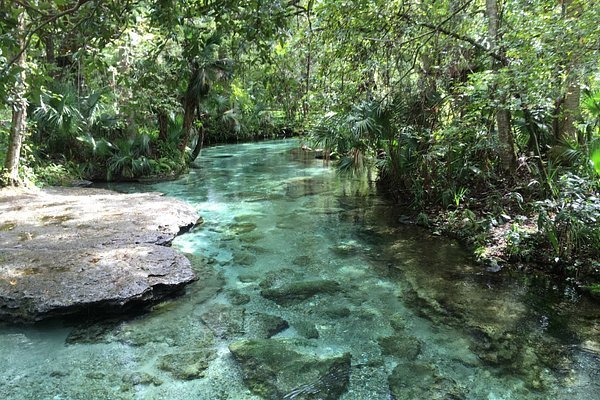 Apopka	Florida