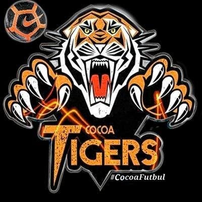Key Players Driving the Cocoa Tigers Momentum in the Rankings
