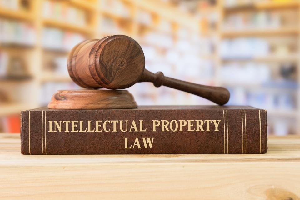 Expert Guidance: Learning from Professionals in Intellectual Property Law