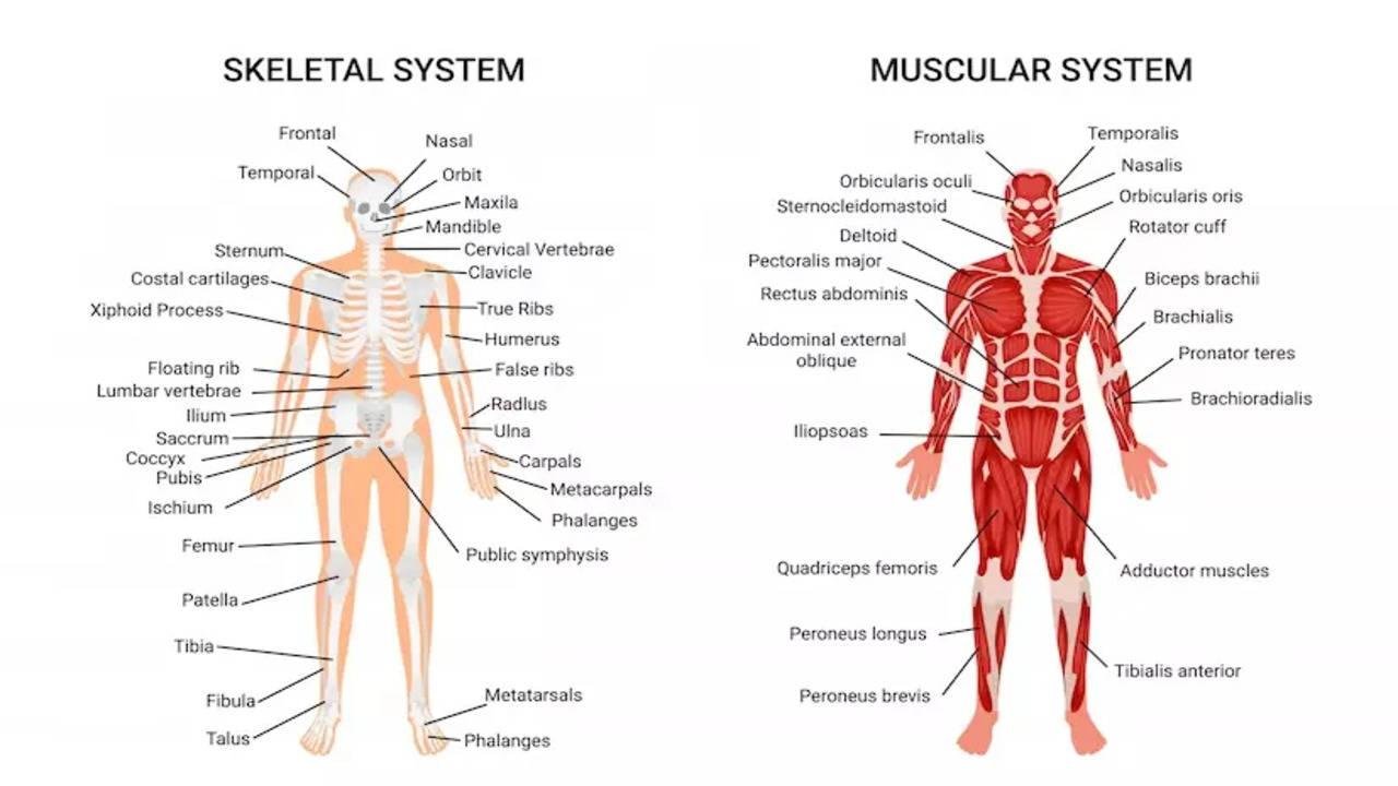 Anatomy of the Investigation Leading to Arrest