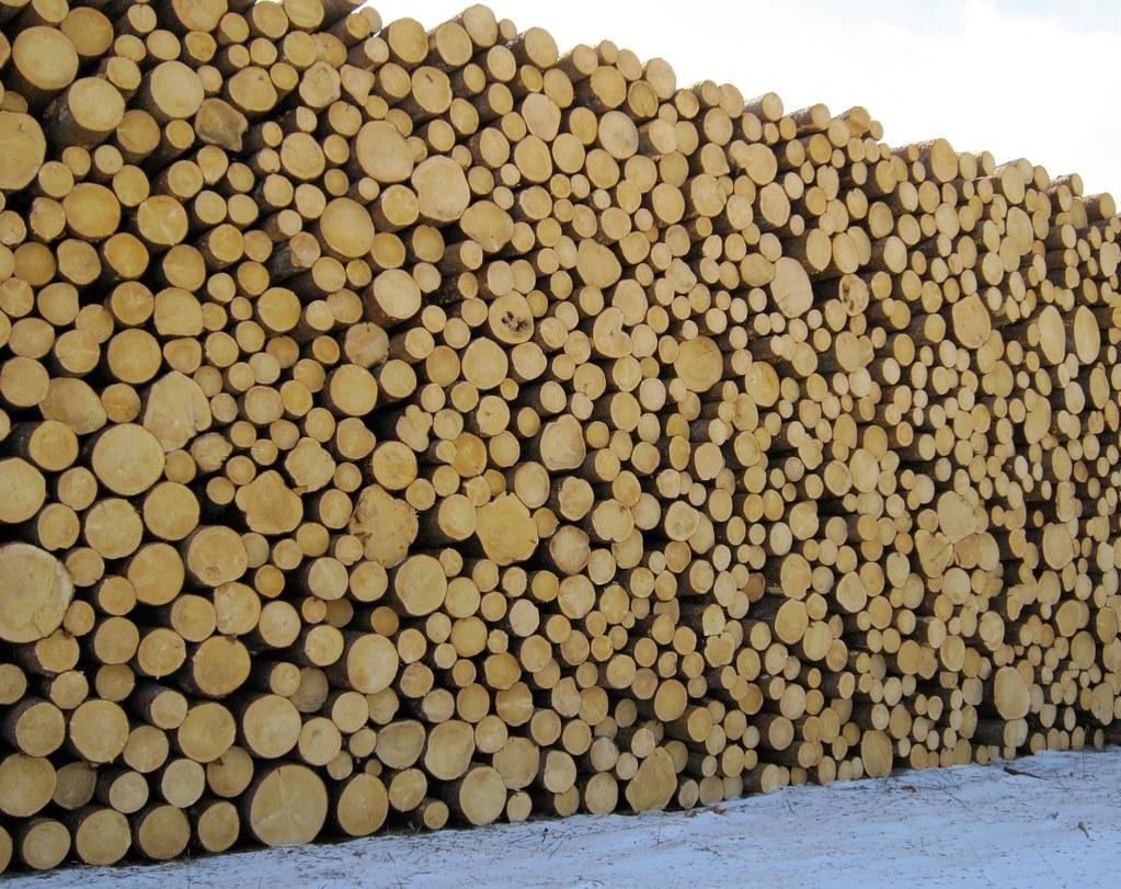 The‌ Impact of⁢ Coach Chuck Wood:⁤ Igniting ⁤Passion in Rockledge Football