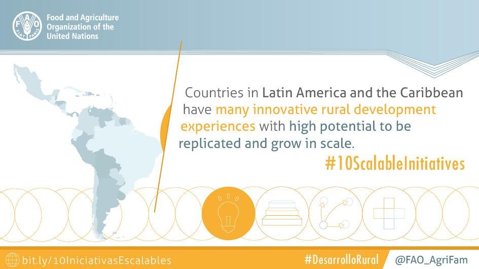 Innovative Initiatives: What to Expect from the New Vice Presidents