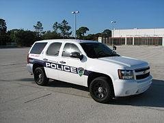 Insights from Annual Performance Metrics of ‍the Titusville Police Department