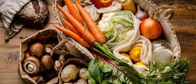 Insights from Leading Researchers on Food Sustainability​ in Space