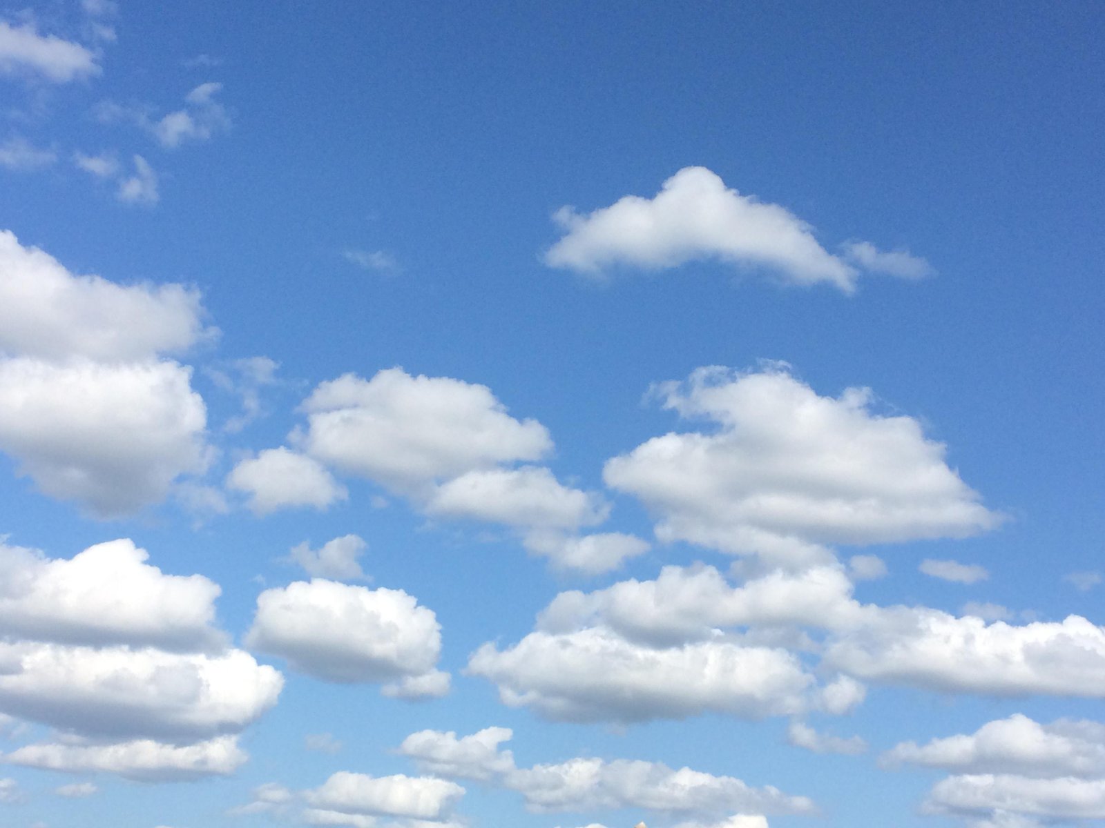 Navigating⁣ the Skies: Recommendations for Sustainable⁣ Program Growth
